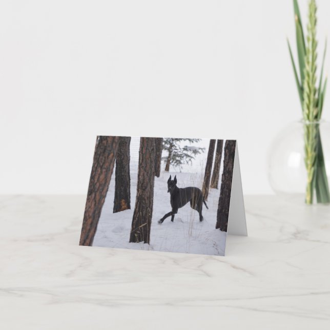 Cartão de Festividades (Frente)