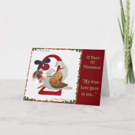 Cartão De Festividades 12 dias do Natal duas pombas da tartaruga