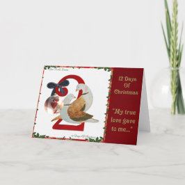 Cartão De Festividades 12 dias do Natal duas pombas da tartaruga