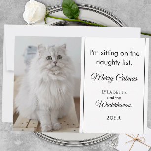 Cartão De Festividades 1 Foto Família Pet Lista Travessa Humor Script
