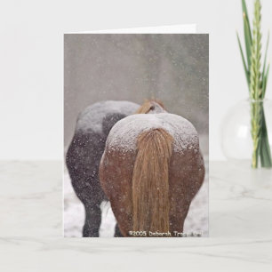 Cartão De Festividades 2005 OMRH Christmas Card Photo Second Place Winner