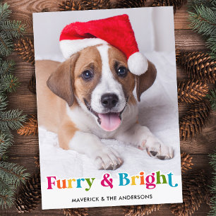Cartão De Festividades 2021 Melhor Ano De Cão De Pet Engraçado Foto