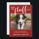 Cartão De Festividades 2021 Ruff Year What the Fluff Funny Dog Photo<br><div class="desc">Cartão engraçado de cartões de natal de cães de estimação ou de gatos para o Natal ou Anos novos, lendo "What the Fluff 2021" com sua própria mensagem personalizada para um retorno à normalidade para 2022. Um fundo vermelho, fontes de script festivas bonitas e tradicionais, e sotaque de fonte de...</div>