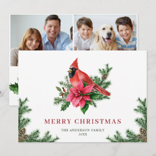 Cartão De Festividades 2 FOTO Poinsettia Vermelha Cardeal Saudação de Nat