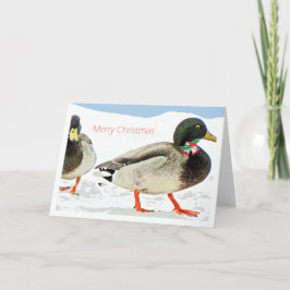 Cartão De Festividades 2 patos com sinos e um Humor de Natal sagrado