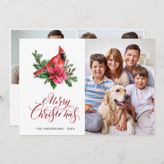 Cartão De Festividades 3 FOTO Poinsettia Vermelha Cardeal Saudação de Nat (Frente/Verso)