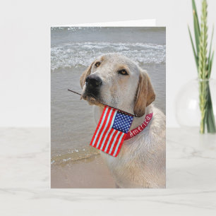 Cartão De Festividades 4 de julho Labrador Retriever com Bandeira Feriado