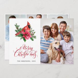 Cartão De Festividades 4 FOTO Poinsettia Vermelha Cardeal Saudação de Nat