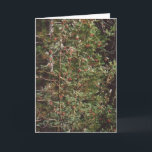 Cartão De Festividades 72. Comida de pássaro - bagas em uma árvore<br><div class="desc">Comida de pássaro - bagas em uma árvore</div>