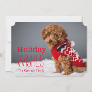 Cartão De Festividades A 10 week old toy poodle
