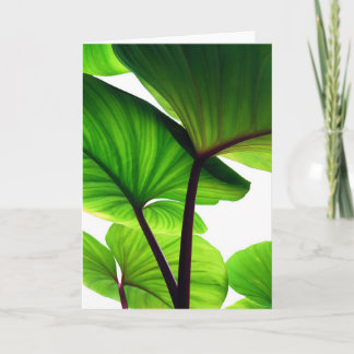 Cartão De Festividades A abóbora sae da foto floral