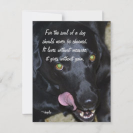 Cartão De Festividades A Alma de um Cachorro - Labrador Preto
