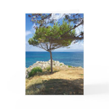 A árvore siciliano