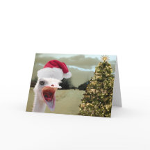 A avestruz obtem Excited sobre o Natal