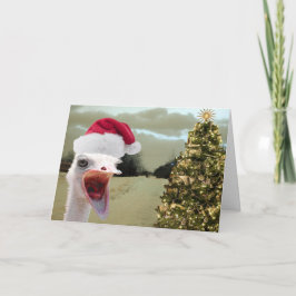 Cartão De Festividades A avestruz obtem Excited sobre o Natal