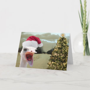 Cartão De Festividades A avestruz obtem Excited sobre o Natal