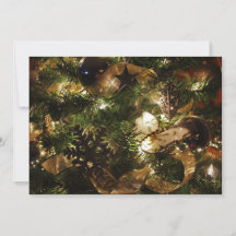 A borboleta de Natal