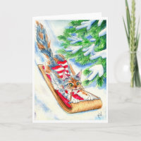 A Corrida Toboggan de Cat