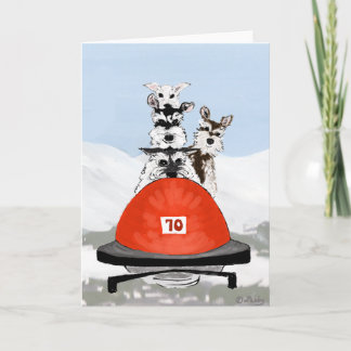 Cartão De Festividades A equipe de Bobsleighing do Schnauzer
