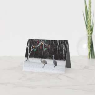 Cartão De Festividades A festive Christmas card featuring Sandhill Cranes