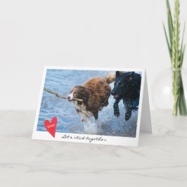 Cartão De Festividades A foto do cão do dia dos namorados deixou-nos