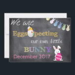 Cartão De Festividades A gravidez da páscoa de Eggspecting revela o<br><div class="desc">Nós somos "Eggspectomg" nosso próprio coelho pequeno XXX
Maneira bonito e perfeita que anuncia à família e aos amigos que seu pequeno está na maneira em torno da páscoa e da primavera!</div>