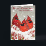Cartão De Festividades A irmã, óleo pintou cardeais vermelhos no cenário<br><div class="desc">O óleo três pintou cardeais vermelhos em um cheio nevado do ramo das bagas</div>