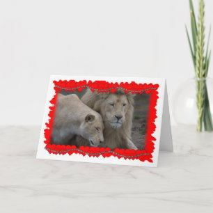 Cartão De Festividades A Lion's Valentine