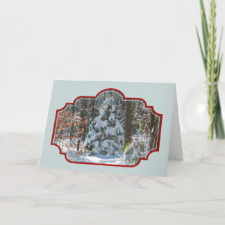 Cartão De Festividades A paisagem de inverno coberta por neve Evergreen C
