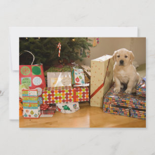 Cartão De Festividades A puppy sits amongst Christmas presents