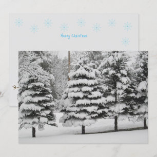 Cartão De Festividades A Terra Maravilha de inverno da Vermont em placa p