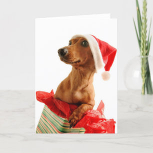 Cartão De Festividades A very Doxie Christmas
