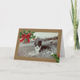 Cartão De Festividades Abby the Incrível Border Collie~Cartão de Natal