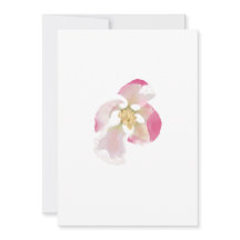 Abertura do Flor de Maçã