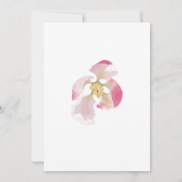 Cartão De Festividades Abertura do Flor de Maçã