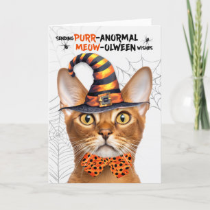 Cartão De Festividades Abyssinian Halloween Cat PURRolintera anormal
