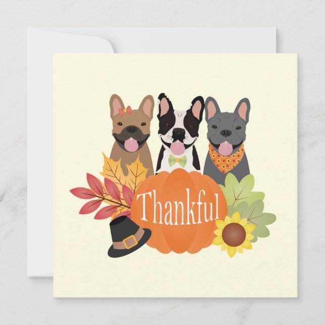 Cartão De Festividades Ação de Graças aos Bulldog Franceses (Frente)