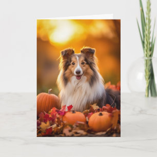 Cartão De Festividades Ação de Graças Sheltie