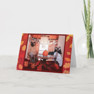 Cartão De Festividades Acção de graças do cão