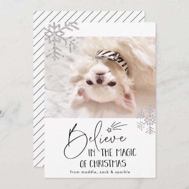 Cartão De Festividades Acredite | Pet Photo (Frente/Verso)