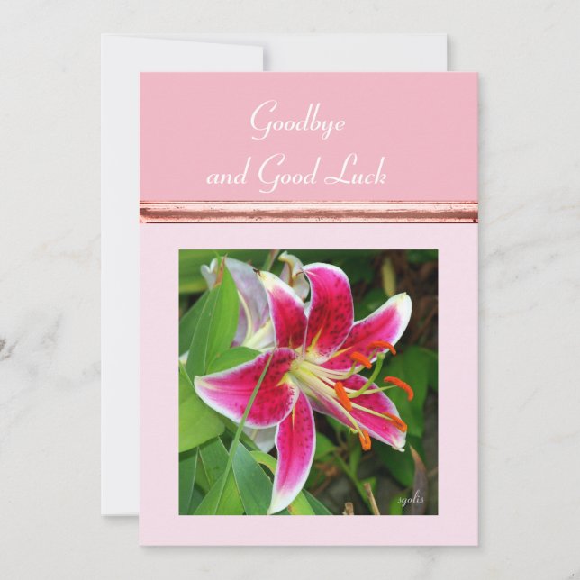 Cartão De Festividades Adeus e Boa Sorte Placa (Frente)