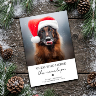 Cartão De Festividades Adivinhe Quem Lambeu o Envelope Cachorro Engraçado
