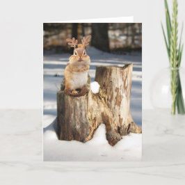 Cartão De Festividades Adorable "Reindeer" Chipmunk