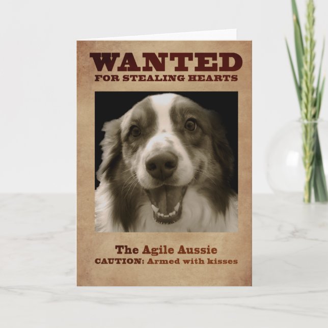 Cartão De Festividades Agile Aussie (Frente)