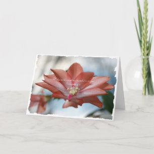 Cartão De Festividades Agnes, o Cactus de Natal Eclesiastes 3:11