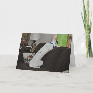 Cartão De Festividades Aguardando Papais noeis