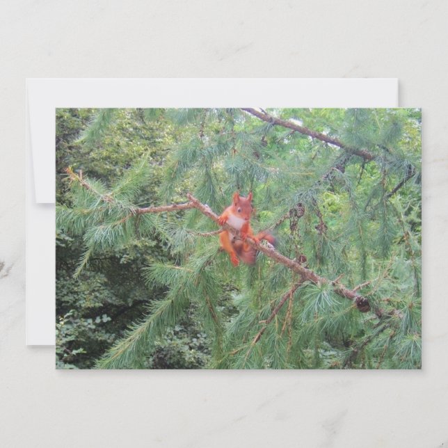 Cartão De Festividades Aguentando aí (Frente)