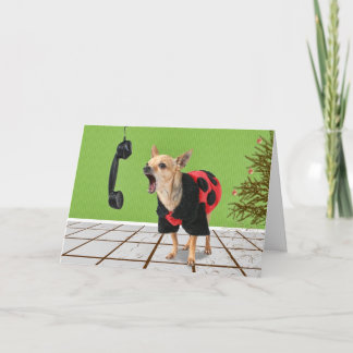 Cartão De Festividades agulhas do pinho