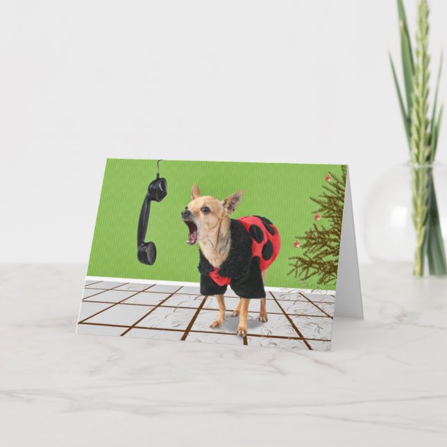 Cartão De Festividades agulhas do pinho (Frente)