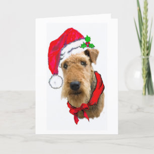 CARTÃO DE FESTIVIDADES AIREDALE CHRISTMAS CARD
